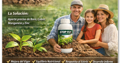 Stop Fly Guía práctica y Cómo detectar microcarencias